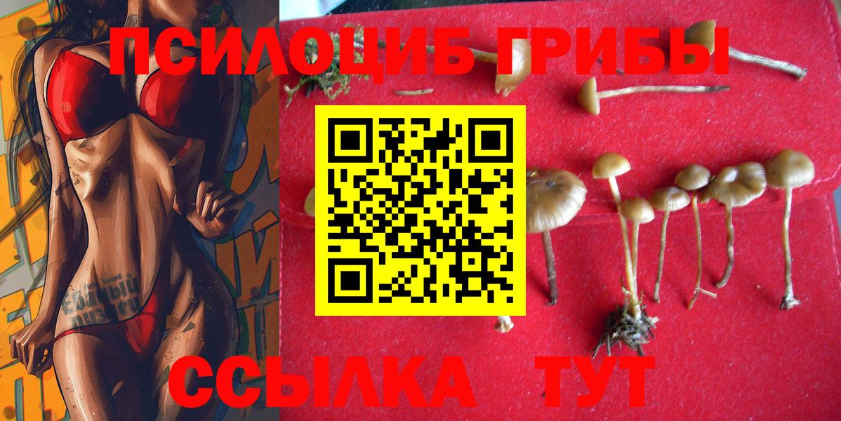 даркнет сайт  Галлюциногенные грибы мухоморы  Изобильный  Вход с VPN  Псилоцибиновые грибы GOLDEN TEACHER 